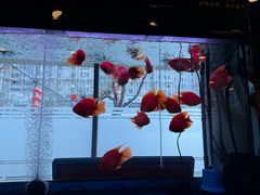 -东四民芳餐厅(朝阳门店)