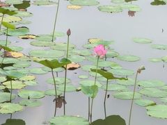 -云龙湖旅游景区