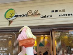 -柠檬车露(卖草地店)