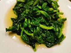 酒香豆苗-老吉士酒家(天平路店)