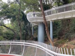 -金鸡山公园