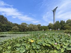 -沈阳植物园