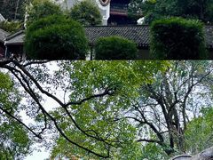 -岳麓山风景名胜区