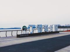 -丁香湖公园