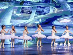 -中央芭蕾舞团·中芭艺蕾(酒仙桥明星校区)