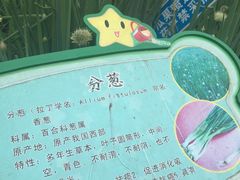 -天河儿童公园