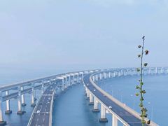 -星海湾跨海大桥