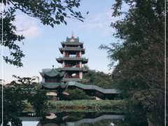 -桂湖森林公园