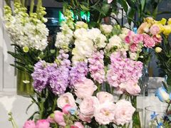 -FEI FEI FLOWER鲜花店·气球派对·宝宝宴布置(虹口德必运动Loft店)