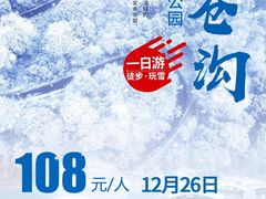 -龙苍沟森林公园