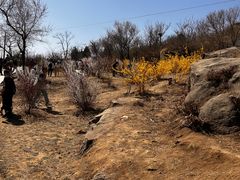 -白水寺森林公园