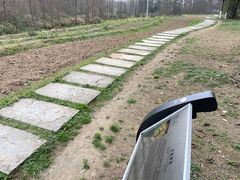 -桤木河湿地公园