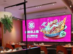 -老板恋上鱼(恒隆广场店)