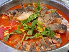-弘烨 贵州酸汤 鱼火锅(东财店)