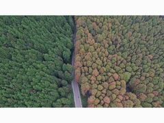 -山王坪喀斯特国家生态公园