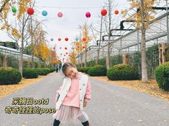 -菊园百果园