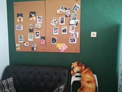 -捌楼咖啡书吧(南开店)