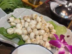 -同仁四季椰子鸡(海岸城天利店)