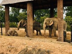 -清迈夜间动物园