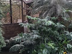 -金稼园·金平湖农家菜