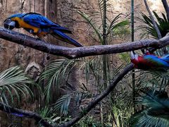 -杭州开元森泊度假乐园