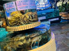 -荔城生鲜盛宴(番禺旗舰店)