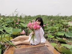 -白洋淀景区