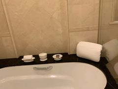 -广州富力丽思卡尔顿酒店