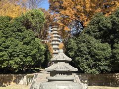 -灵谷景区