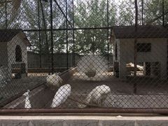 -太原动物园