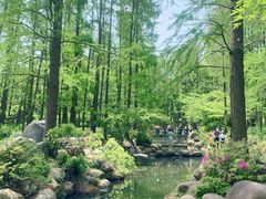 -上海共青森林公园