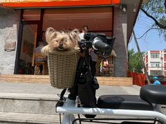 门面-Catch Bagel(芳草地店)