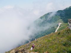 -白草畔自然风景区