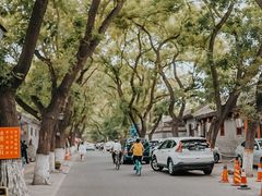 -北京国子监胡同