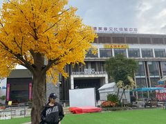 -凤城·食都