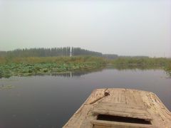 -白洋淀风景区
