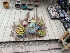 -李村大集