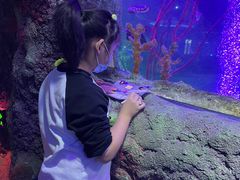 -沈阳海洋探索中心