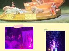 -广州长隆国际大马戏