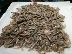 冷冻区-麦德龙(郑东店)