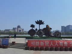 -莲花池公园