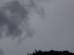 -安吉龙王山峡谷漂流