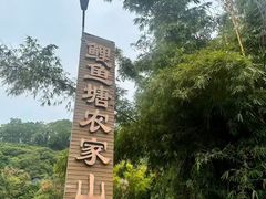 -鲤鱼塘农家山庄