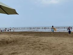 -日照海滨国家森林公园