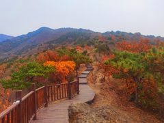 -北京十三陵国家森林公园蟒山景区