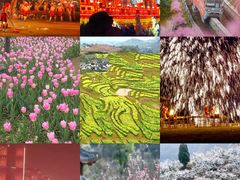 -南山植物园