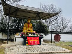 -上海佘山国家森林公园天马山园