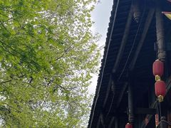 -雅安上里古镇