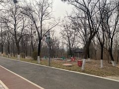 -云岗森林公园