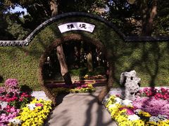 -汇龙潭